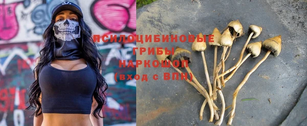 mdpv Алзамай
